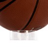 BASKETBALL EXPOSITOR WILSON