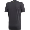 Camiseta flushing gfx t color carbon