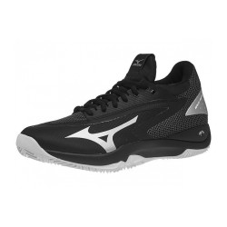 Mizuno wave impulse