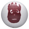 BALÓN VOLEIBOL WILSON CASTAWAY