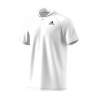 Polo club rib white/black