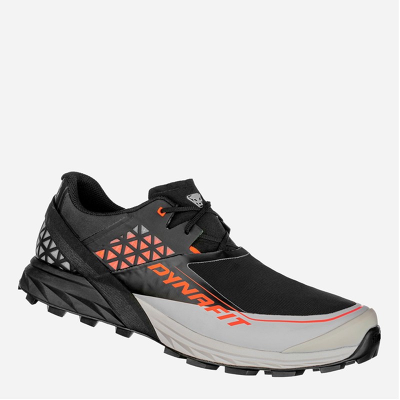 ZAPATILLAS DYNAFIT ALPINE DNA 64062 0993