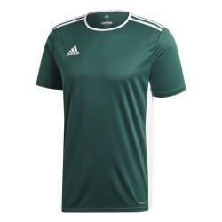 Camiseta entrada 18 collegiate green/white