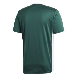 Camiseta entrada 18 collegiate green/white