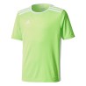 Camiseta entrada 18 y solar green/white