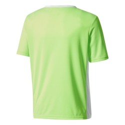 Camiseta entrada 18 y solar green/white