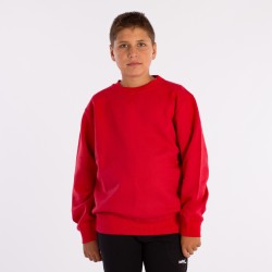 SWEATSHIRT SOFTEE OWEN CHILD