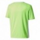 Camiseta entrada 18 y solar green/white
